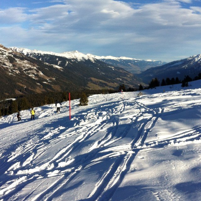 saberghuis's profile picture. 