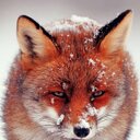 jonathan jamieson - @jamieson360 - Twitter