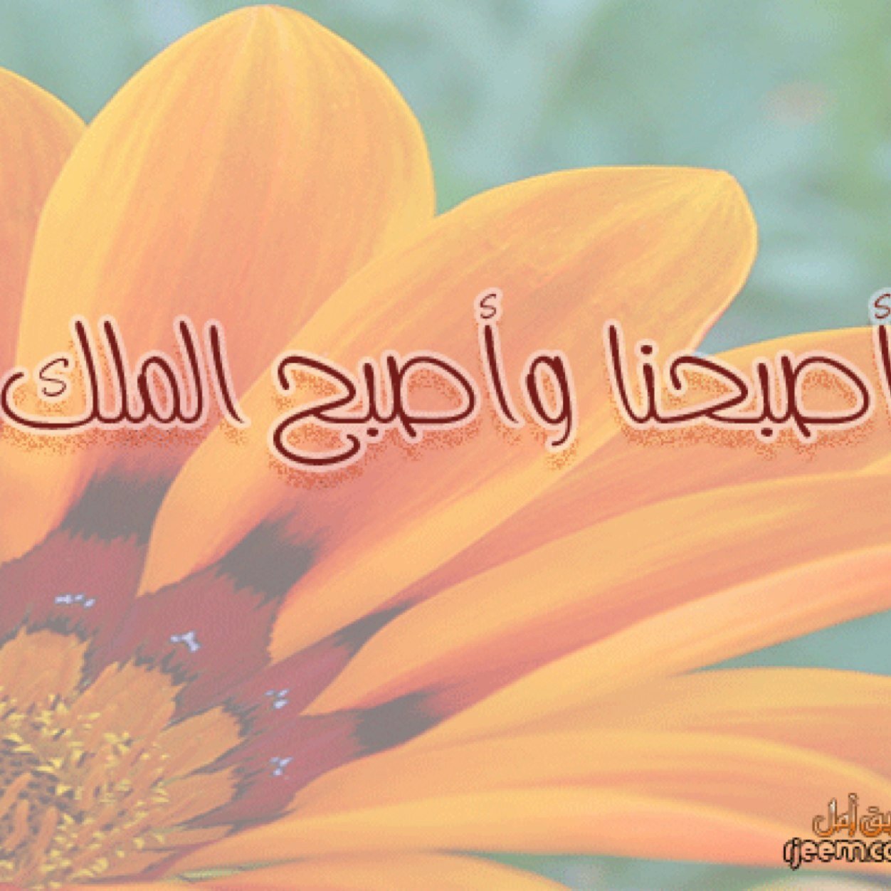 كل صباح رساله جديده ومفيده لتغير حياتك من جديد