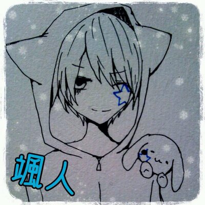 ☆はっとんねこ☆