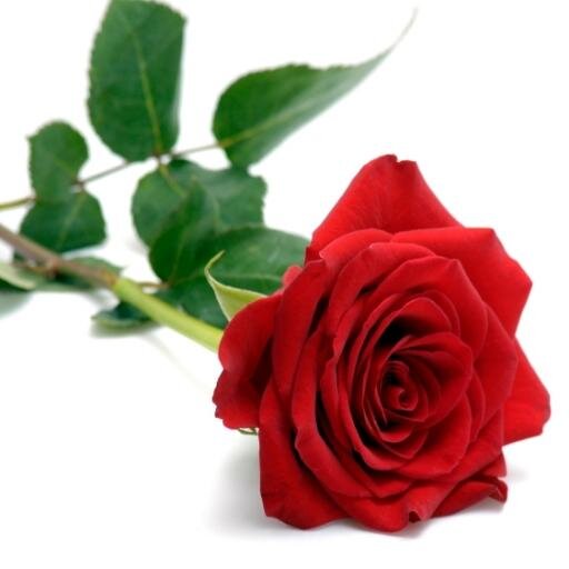 Confess anything relating to love/sex/crushes/admiring ANYTHING