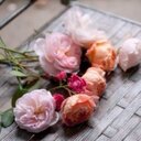 Marwan Abu Sultan - @ma500611 - Twitter