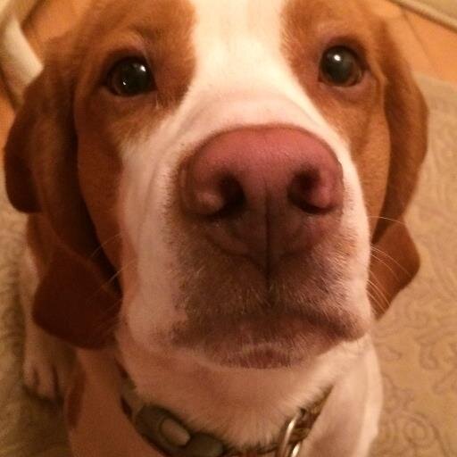 SZhurilo's profile picture. 