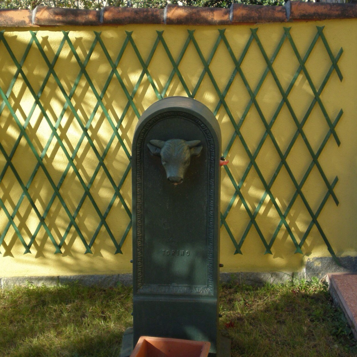 AlbinaMalerba's profile picture. 