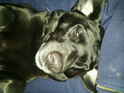 ssJBoylZopbnOSb's profile picture. とりあえず