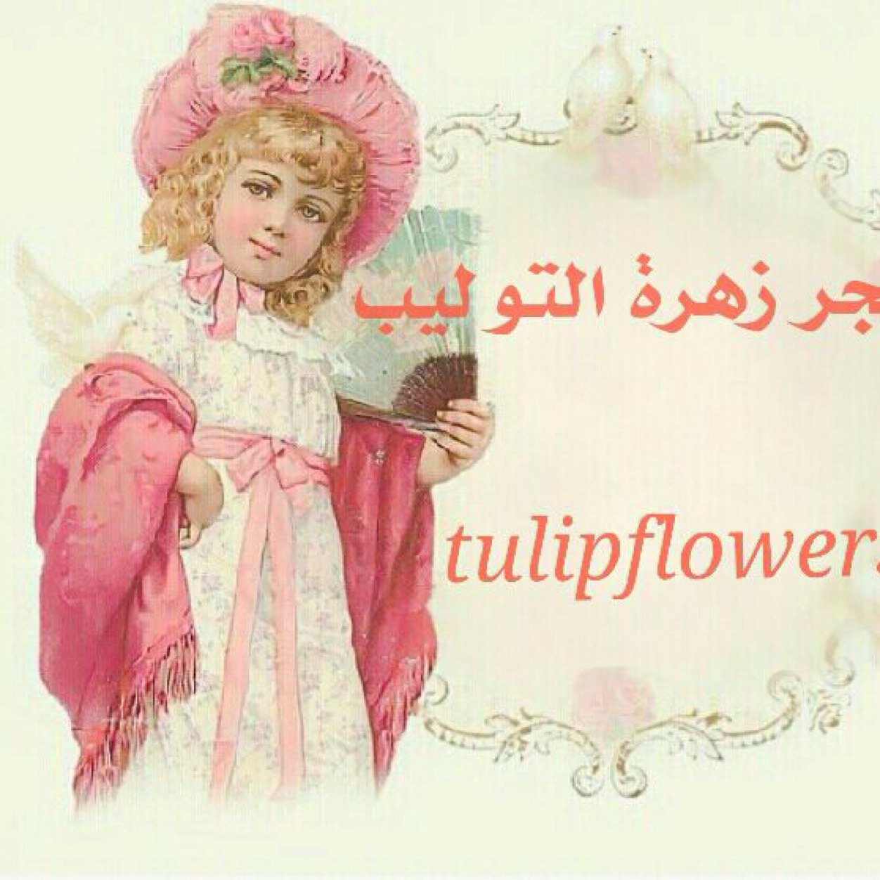 ‏للطلب والاستفسارات kik tulipflower3  تابعوني على instgram tulipflower3