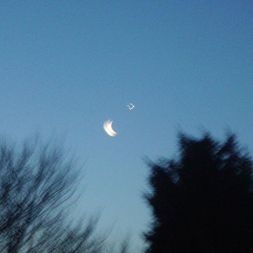 Kellycphillips's profile picture. 