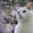 PakdeeChiangrai's profile image