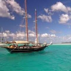 fiolon1's profile picture. 