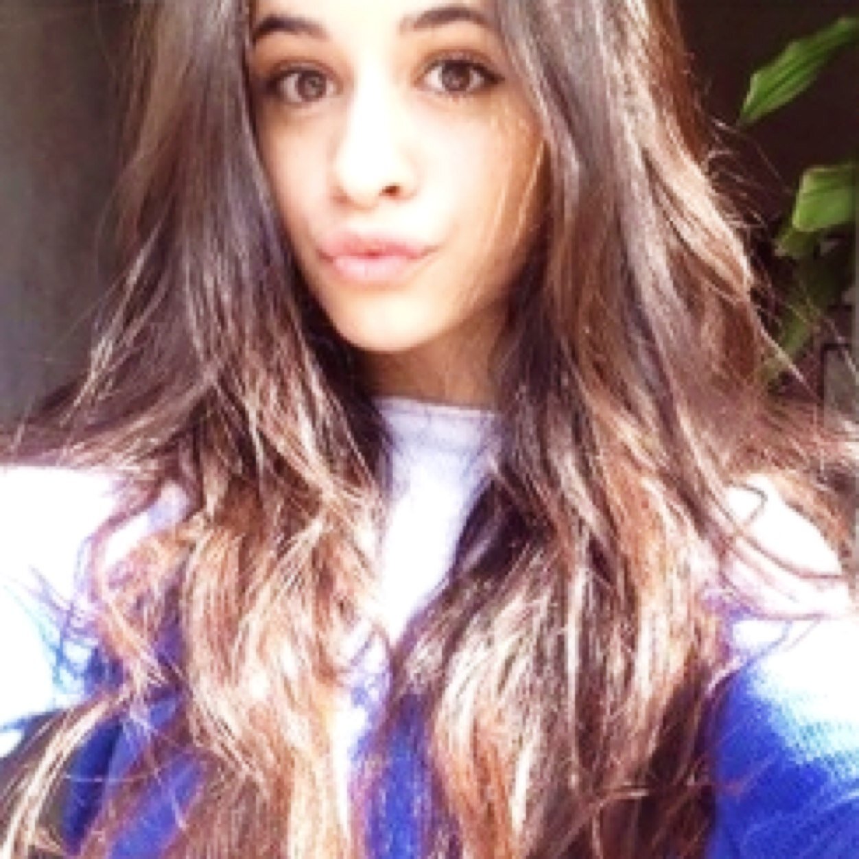betterIauren's profile picture. i don’t need friends or boyfriends, i need camila