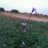 abu_3eed's profile image