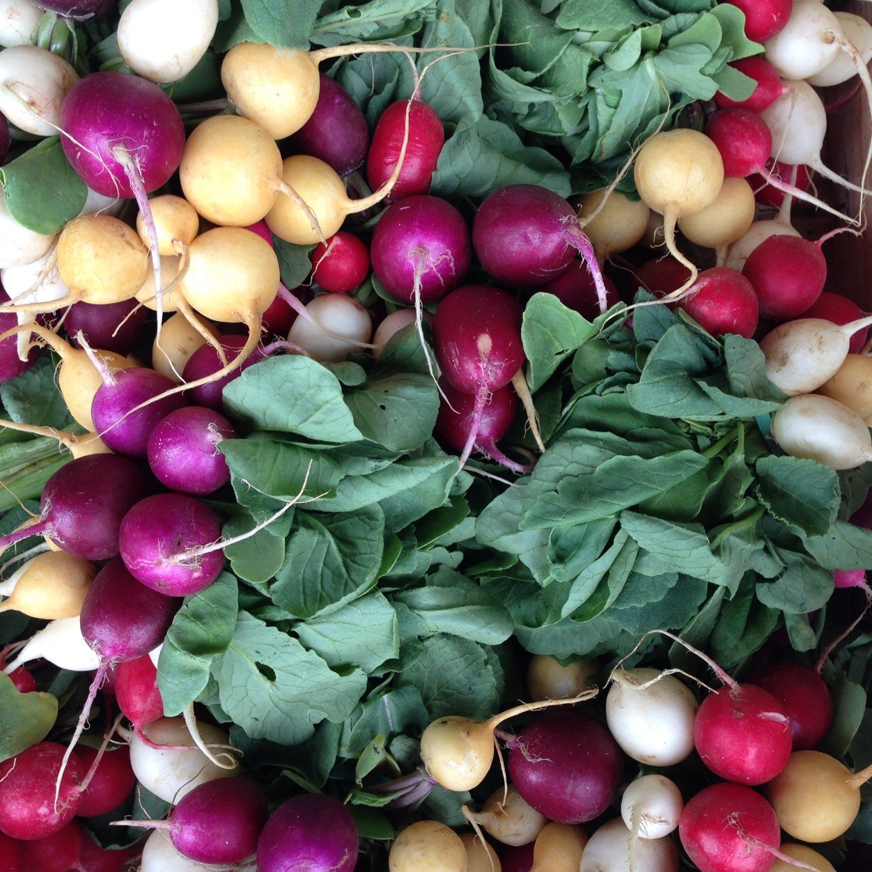 richblackwell1's profile picture. Head chef of @stevieparle's @dockkitchen. Not very good at this twitter thing