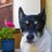 Domino_Dot's profile image