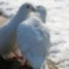 2007Dola's profile picture. 