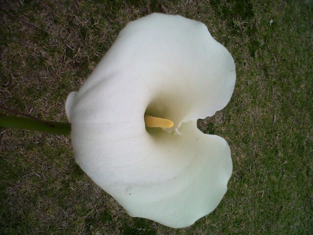 adri_zyl's profile picture. Ek is getroud met Koos en ons het 3 pragtige kinders; Hendrik, Carli en Lisa.