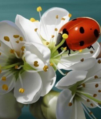 #взаимныйФолловинг #Фолловлювзаимно #читаювзаимно #ФолловлюВсехВзаимно #ЧитаюВсегдаВзаимно #followback #autofollow #rufollowback #ЧитайМеняАяТебя #ЧитаюВзаимно