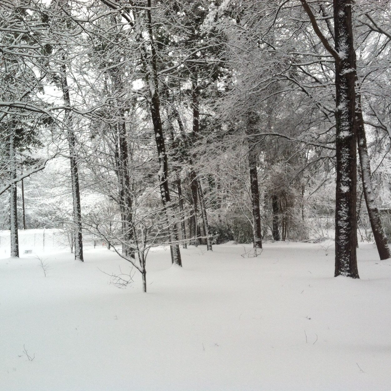 eferguson_e's profile picture. 