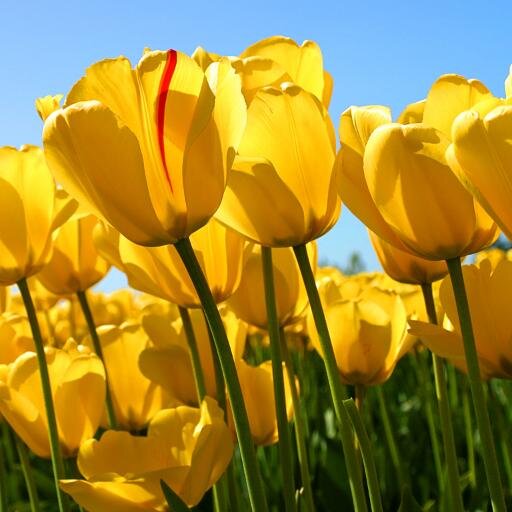 pamperme41's profile picture. I currently work with Special Ed. students . Working with students that are Autistic is extremely rewarding.