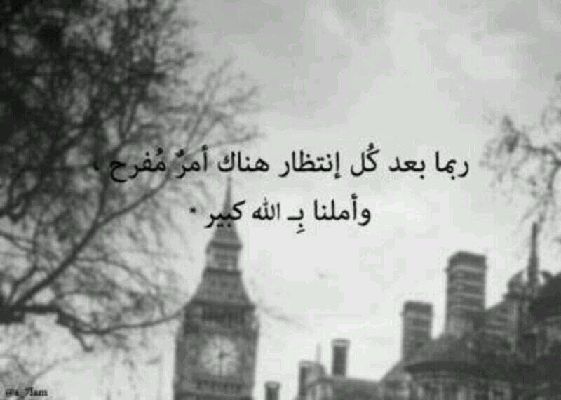 rfooa1122's profile picture. 