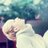 shosethu's profile image