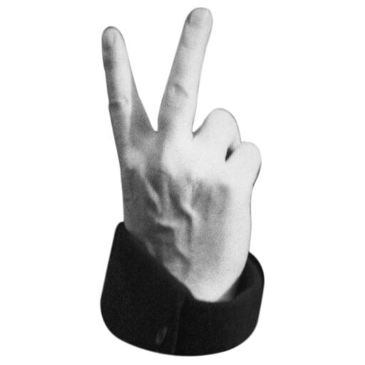 vixenkick's profile picture. Director Duo · Seeking Representation