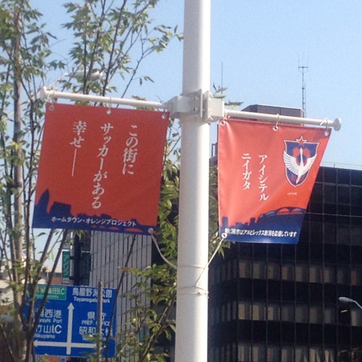Albirex Niigata｜CURVA NORD BARBA｜Football｜Electronic Dance Music｜SEL OCTAGON TOKYO｜ZEROTOKYO｜RAISE｜Snowboard｜Trip｜ 新潟｜村上｜お酒｜ULTRA JAPAN 2025