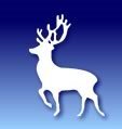 Hertfordshire Over 50s, 60s & 70s County Cricket Teams