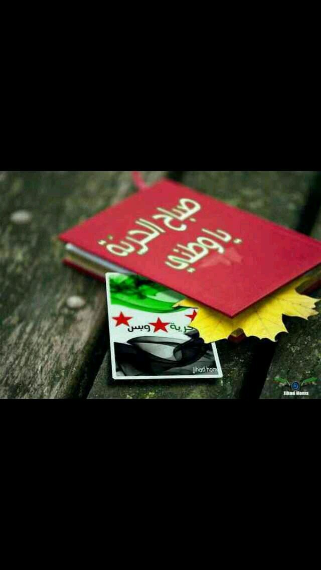 Badr716F's profile picture. 