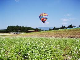 latmscle2lot's profile picture. 