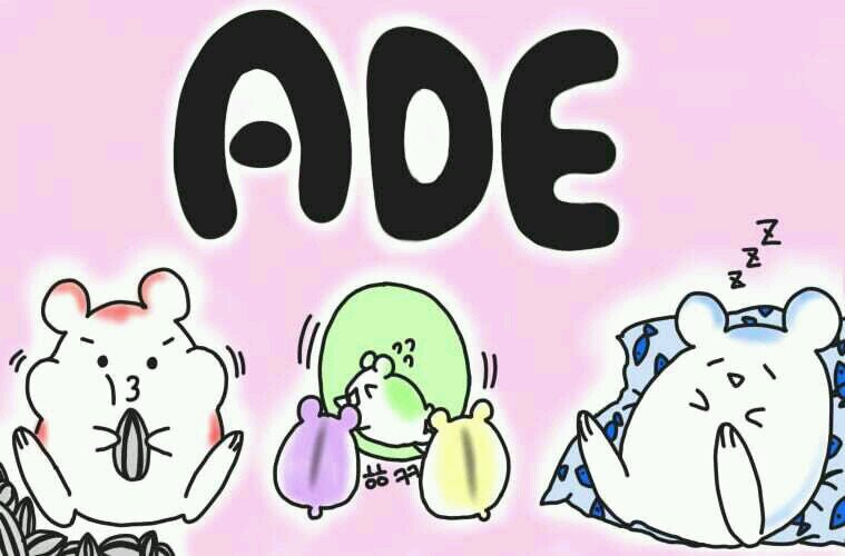 부산 아라시 동인이벤트 ADE 공식 트위터입니다.