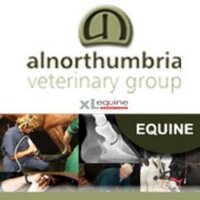 AlnorthumbriaEquine (@alnorthumbriaeq) 's Twitter Profile