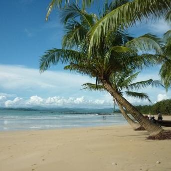 olive2549's profile picture. In Asia since 1996. # Entrepreneur # Real Estate # Trading # Beach