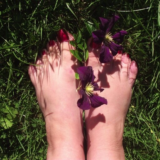 BayReflexology's profile picture. Bay Reflexology is based in Napier, New Zealand.