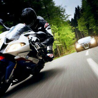 GALLOCLAUDIOLO's profile picture. 