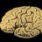 XCerveau's profile image
