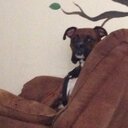 bill grace - @Billy1clayGrace - Twitter