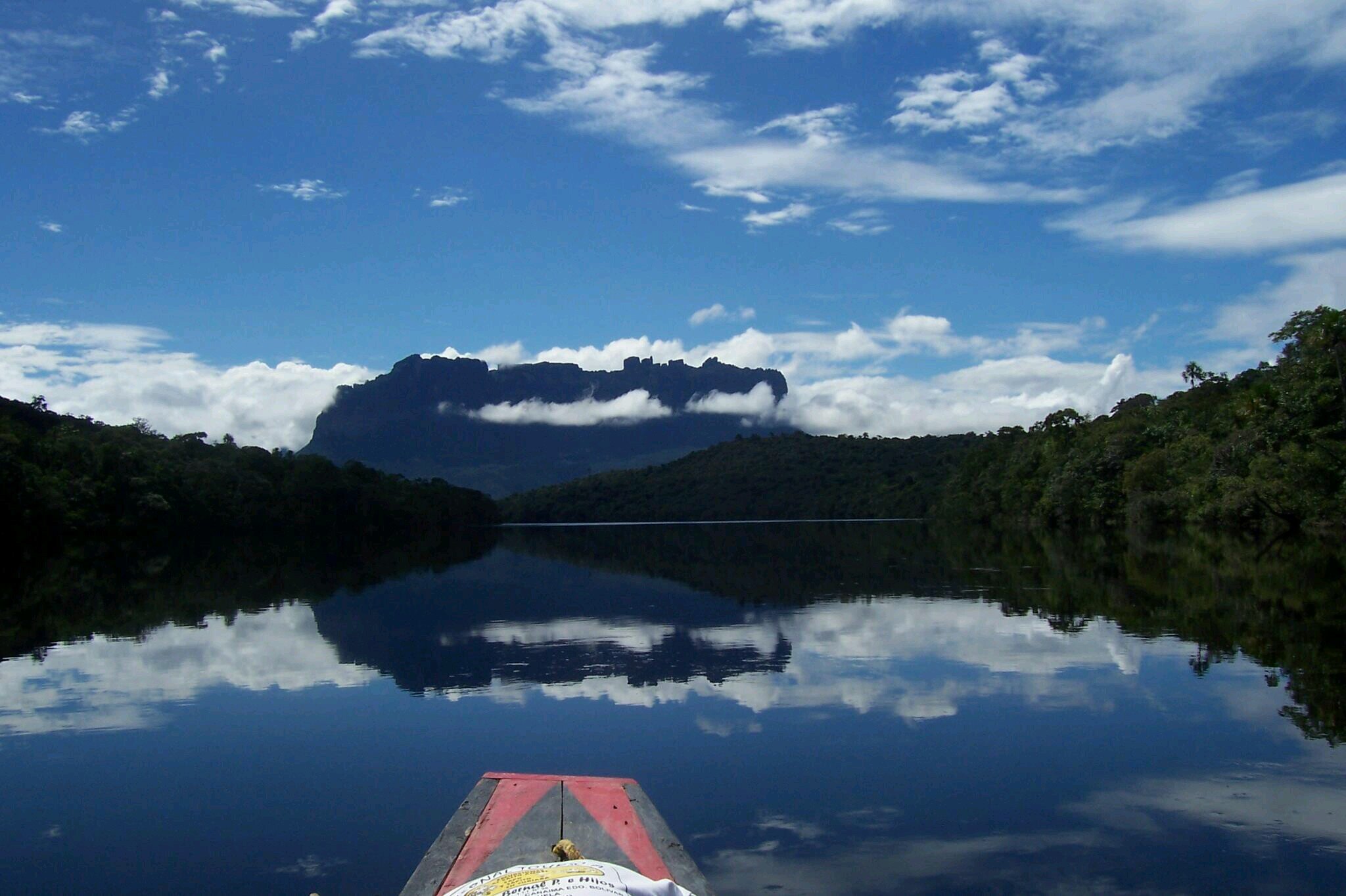 waica1955's profile picture. 