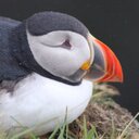 Linda Mannix - @LindaMannix1 - Twitter