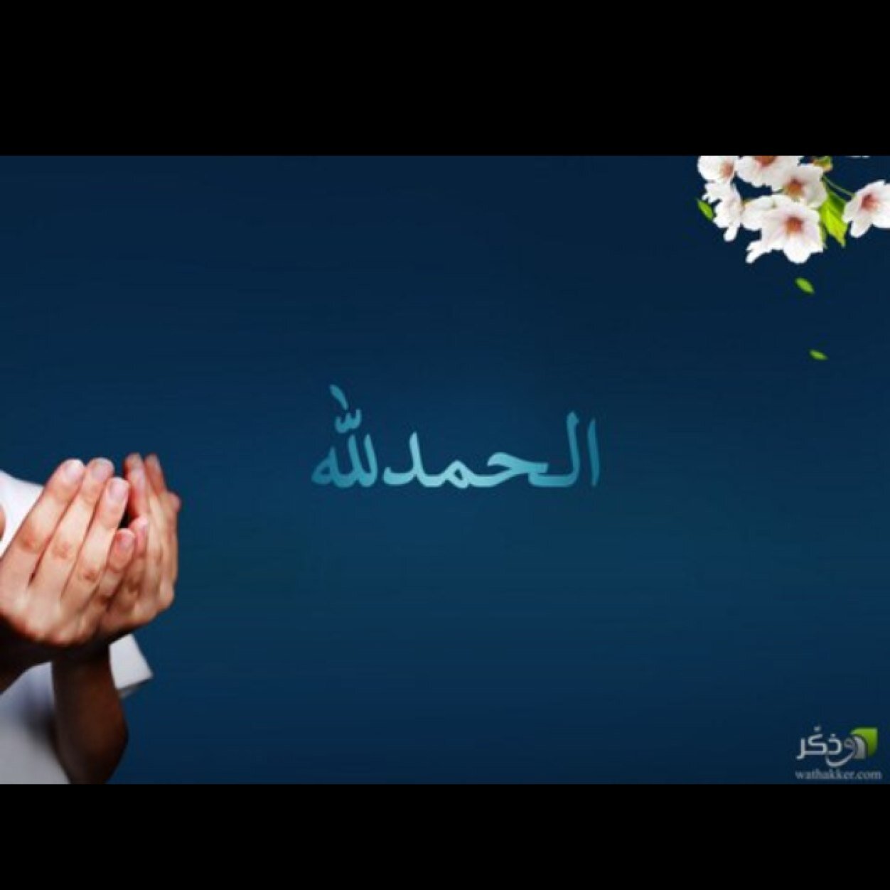 om_naser83's profile picture. 