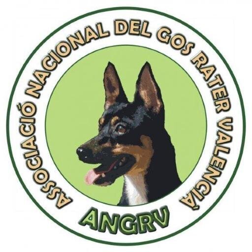 Associació Nacional del Gos Rater Valencià. Club oficialment reconegut i col·laborador de la #RSCE dedicat en exclusiva a vetllar pels interessos de la raça.