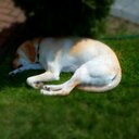 Max Heckmann - @80f468c605e145f - Twitter