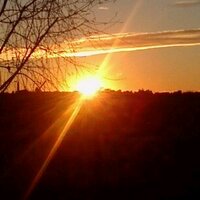 Antonella (@toniaantonella) 's Twitter Profile