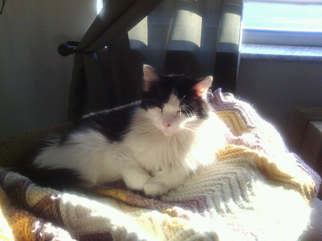 CharleneHuss's profile picture. 