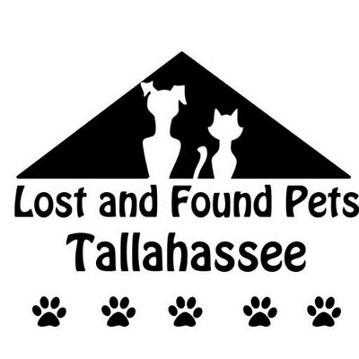 tlh pets lost found