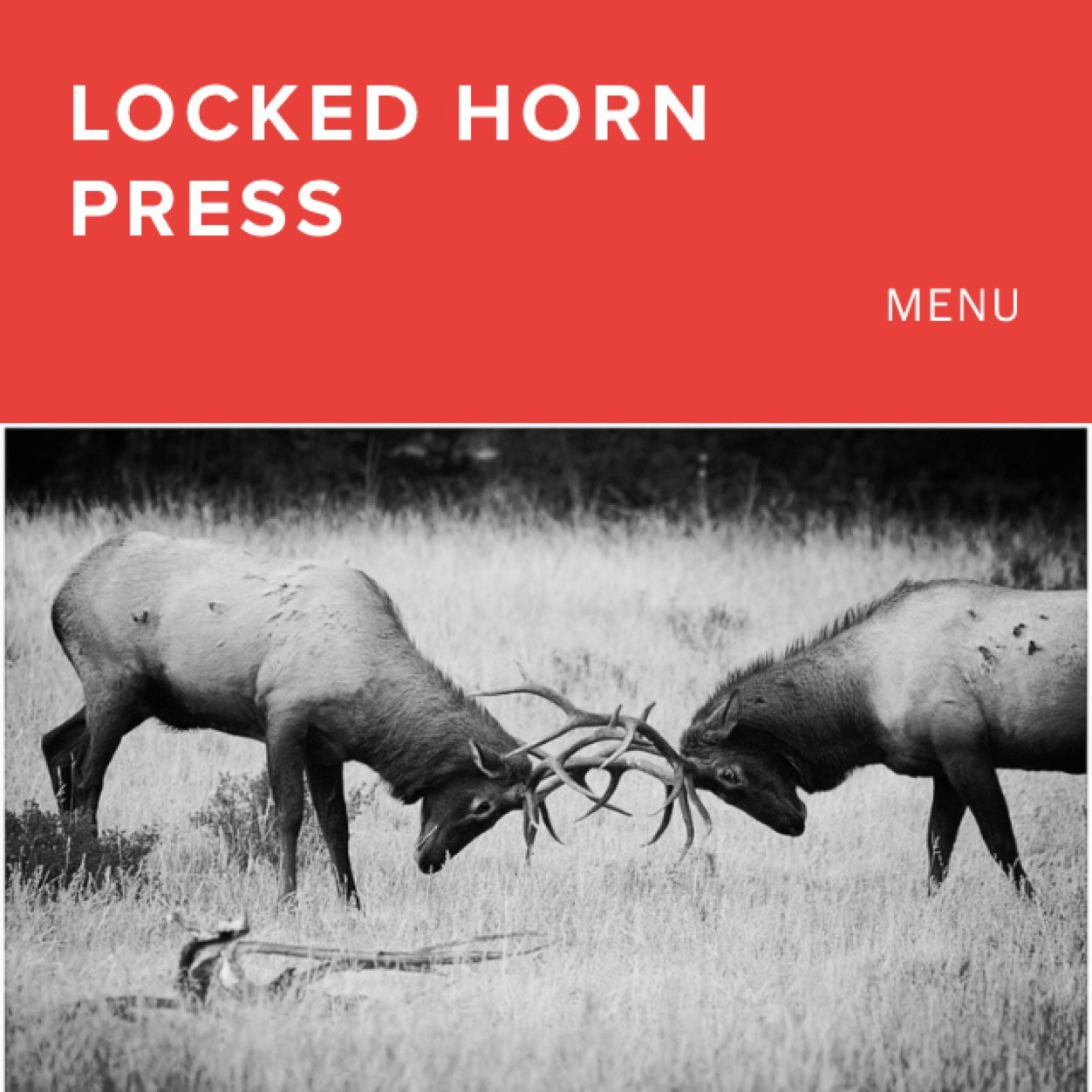 Lit Press, we love the work itself. READ WOMEN, GENDERED & WRITTEN, READ AMERICA(S). SYNCRETISM & SURVIVAL. READ WATER, HER. now: CONTUSIONS @shadiesk