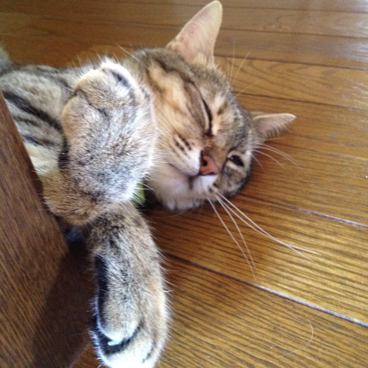 TFT、スロット