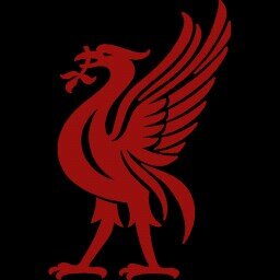 love kids. liverpool fc .music.film #YNWA#JFT96