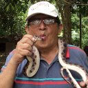 Roger Walter Solano  - @shatosovi - Twitter