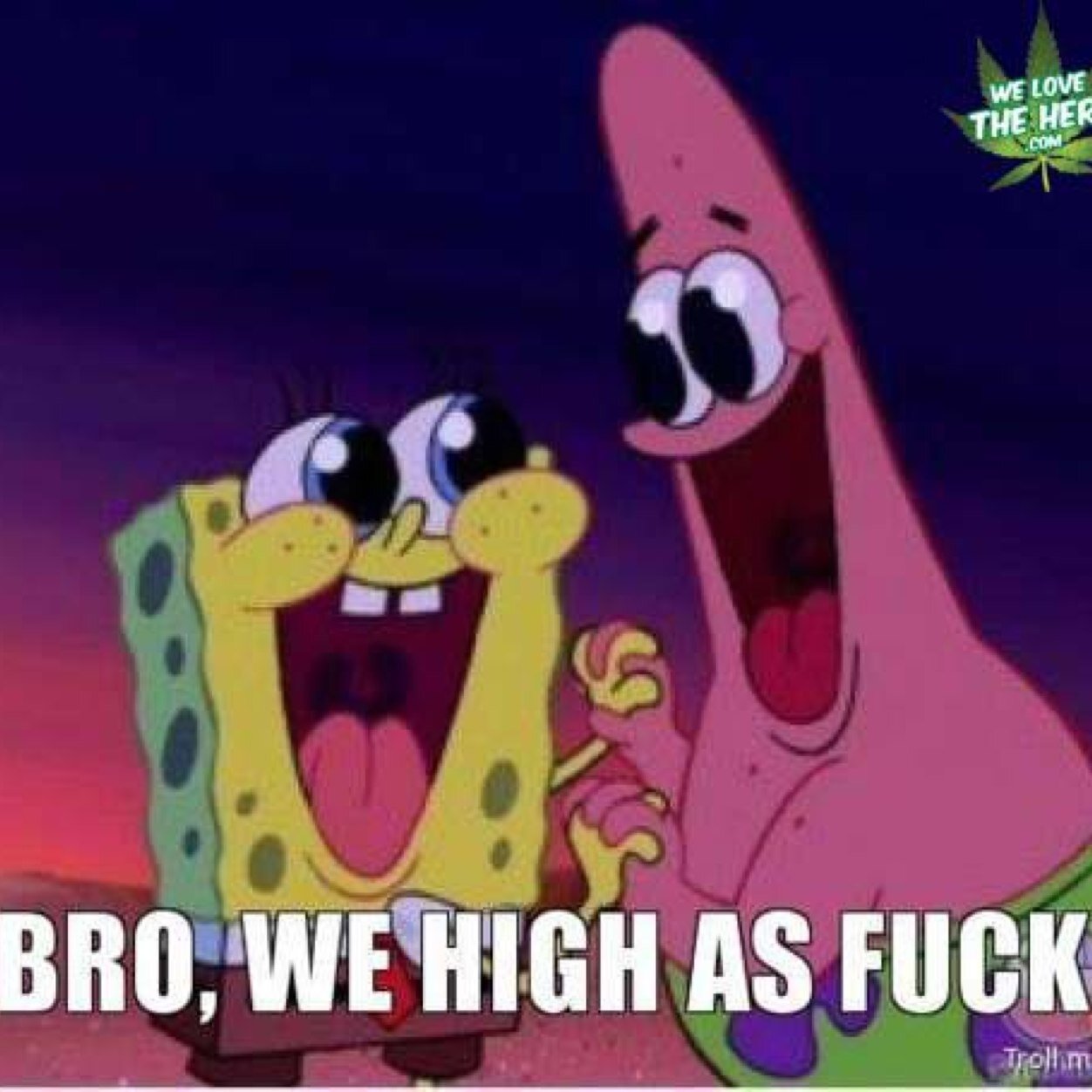 dazedanddoped's profile picture. 