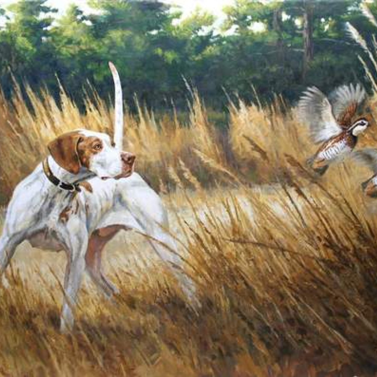 CoveyCotton's profile picture. The newest southern clothing company. Tell us what you like, we'll do our best to make it. You speak, we answer. #madeinamerica coveycotton14@yahoo.com